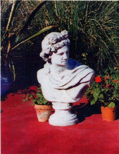 Busto Apollo