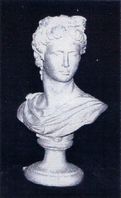 Busto Apollo