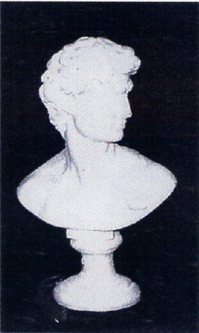 Busto David piccolo