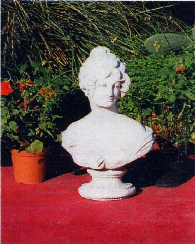 Busto Donna